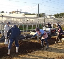 ②モモ改植園への培土搬入作業