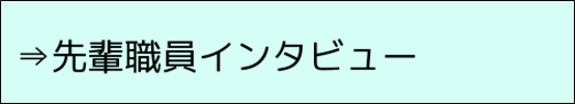 先輩職員インタビュー