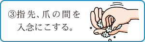 3.指先、爪の間を入念にこする。