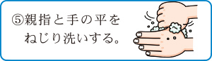 5.親指と手の平をねじり洗いする。