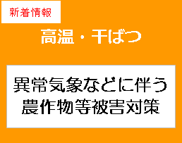 高温対策