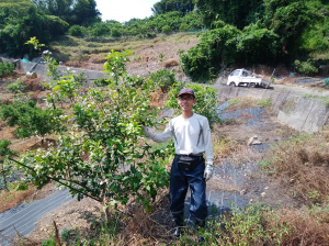 かんきつ農家の岡本至右さん