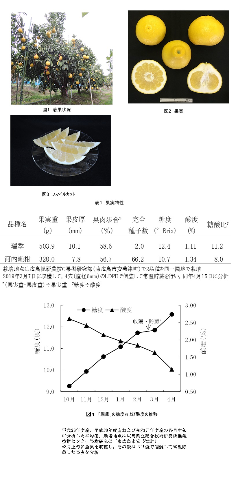 瑞季