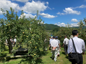 岩本観光りんご園ほ場