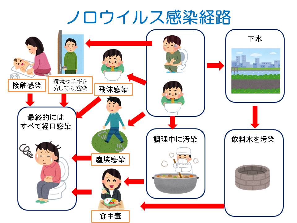 感染経路