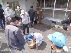 花粉溶液の作成