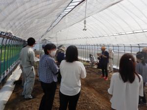 圃場見学の様子