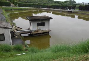 満水の貯水池