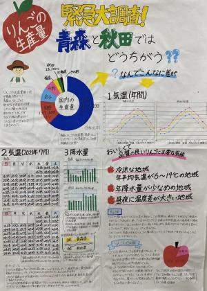 緊急大調査　りんごの生産量青森と秋田ではどうちがう？？