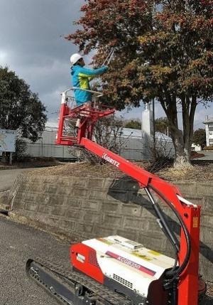 小型高所作業機での刈り込み