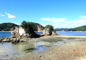 海岸の写真