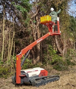 ③高所での剪定作業