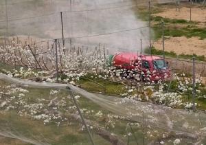 開花期のナシ防除