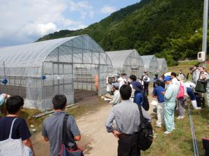 試験ほ場の様子