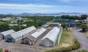 梅雨明け当日における安芸津職場付近の天候