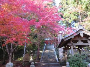 府中市紅葉