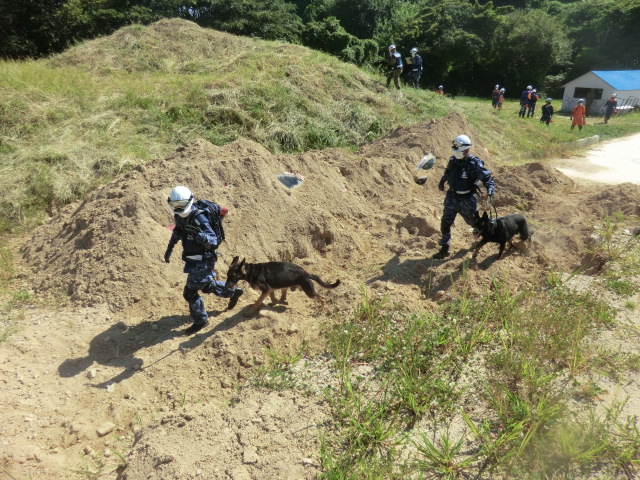 海上自衛隊の警備犬による捜索