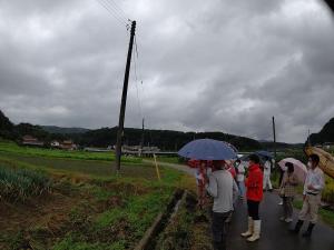 白ねぎほ場の排水対策を学ぶ