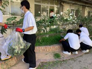 校内のばら花壇の手入れをする様子