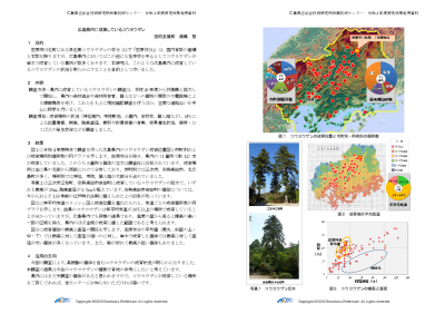 広島県内に成育しているコウヨウザン