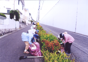 花壇の整備状況