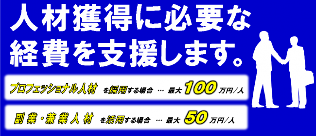 補助金チラシの抜粋