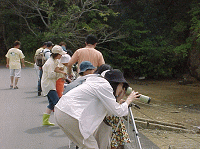 事業の様子の写真1