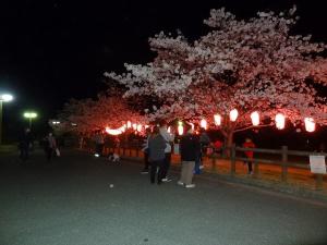 14-（竹原市）バンブー総合公園バンブーさくら週間