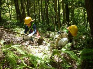 62-（広島市　森林保全課）ひろしま「山の日」県民の集い