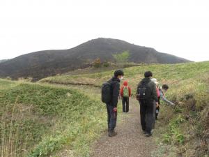 雲月山の植物観察会