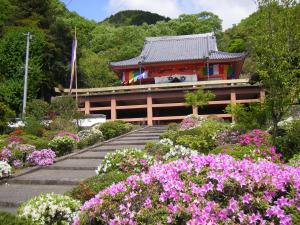 0503（府中市）　安楽時さつき祭り