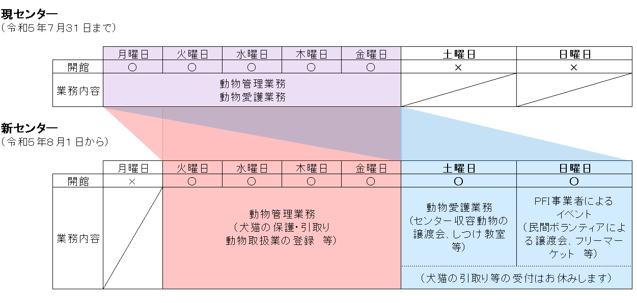 センターカイチョウビ