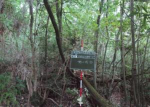 木々がうっそうと茂り農地等へ出没する野生鳥獣の隠れ家となっていた