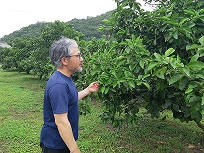 村上氏