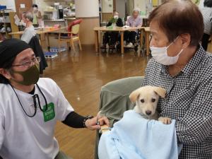 子犬ふれあい２