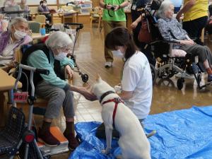 モデル犬ふれあい１