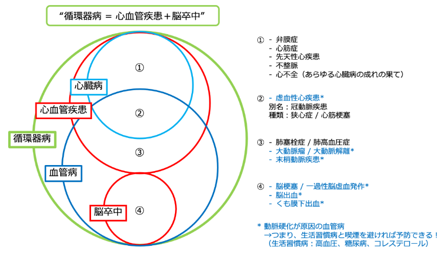 循環器病とは