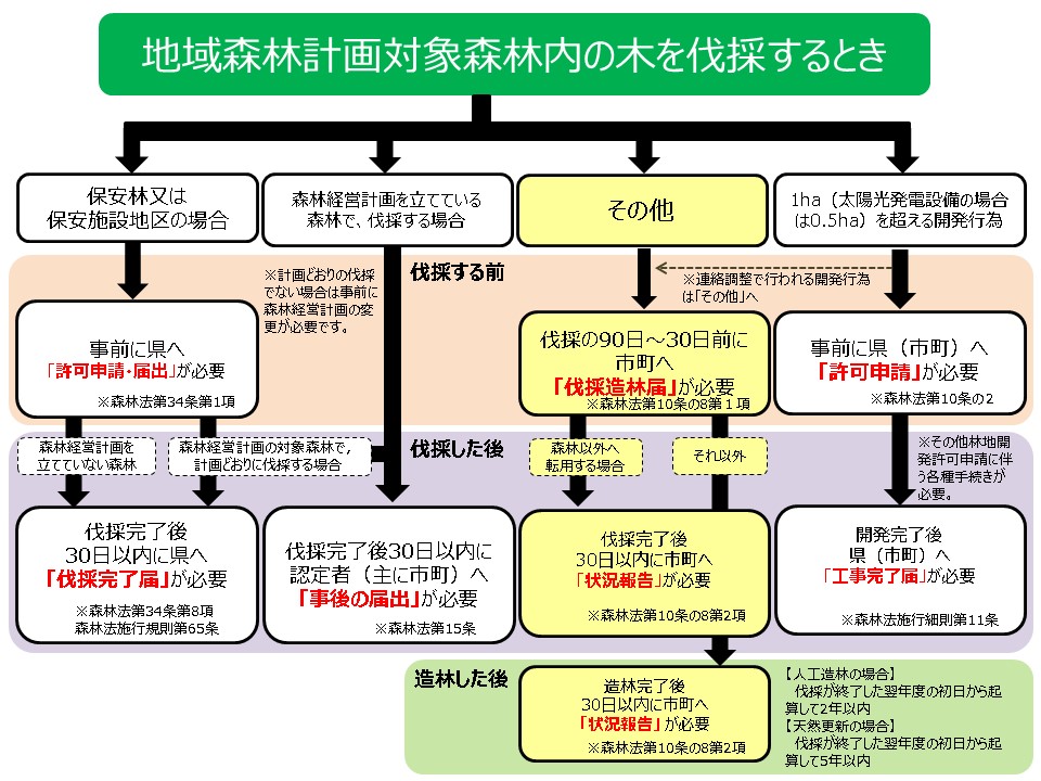 伐採造林届フロー図