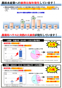 身近な災害リスクを知っていますか（施設園芸向け災害リスク啓発パンフレット）４