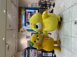 ひろくまとみきゃん