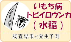 いもち病とトビイロウンカ
