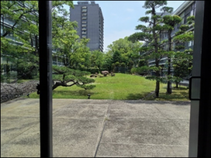 １階正面ロビー中央からの景観