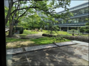 １階正面ロビー北側からの景観