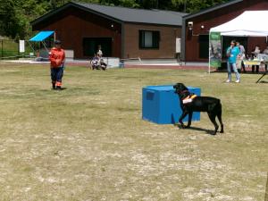 災害救助犬デモンストレーション