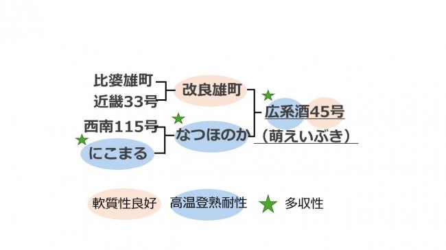 萌えいぶき系譜