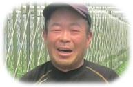 岡本氏　一覧