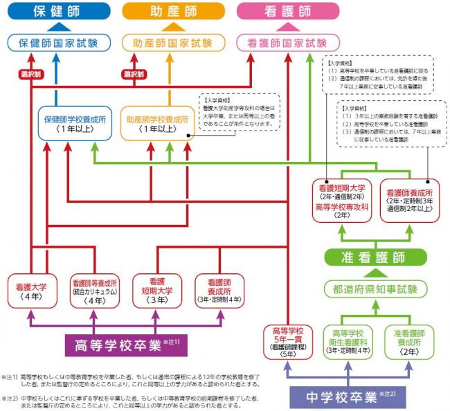 看護職までの道のり