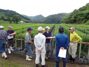 際ばい技術について意見交換