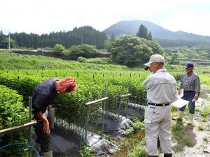 ベテランから助言を受ける若手