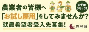 農業経営体向け広告バナー